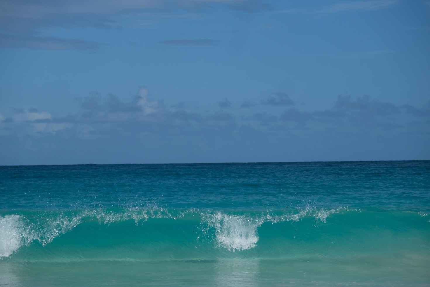 City Nights: Exploring Palm Beach’s Nightlife Scene